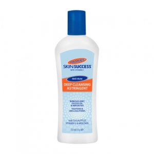 منظف الوجع العميق بفيتامين هـ المضاد لحب الشباب ، 250 مل من بالمرز . – Palmer’s Skin Success Deep Facial Cleansing With Vitamin E, 250ml